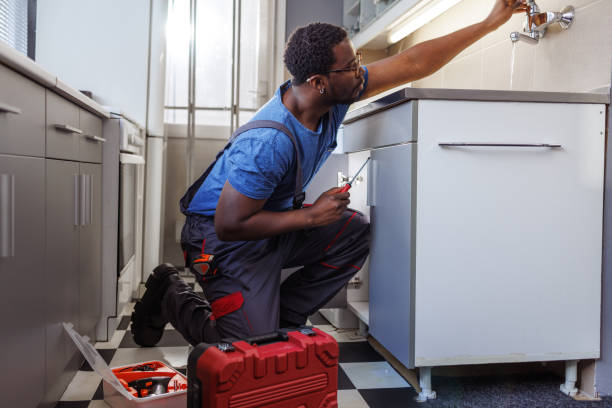 Plumbing System Maintenance in Paradise, NV